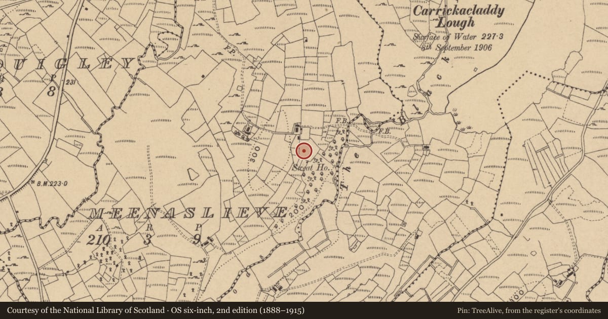 Ordnance Survey six-inch map, 2nd edition (1888–1915) covering the location of Sweathouse, Meenaslieve, County Cavan, with a pin at the register's coordinates
