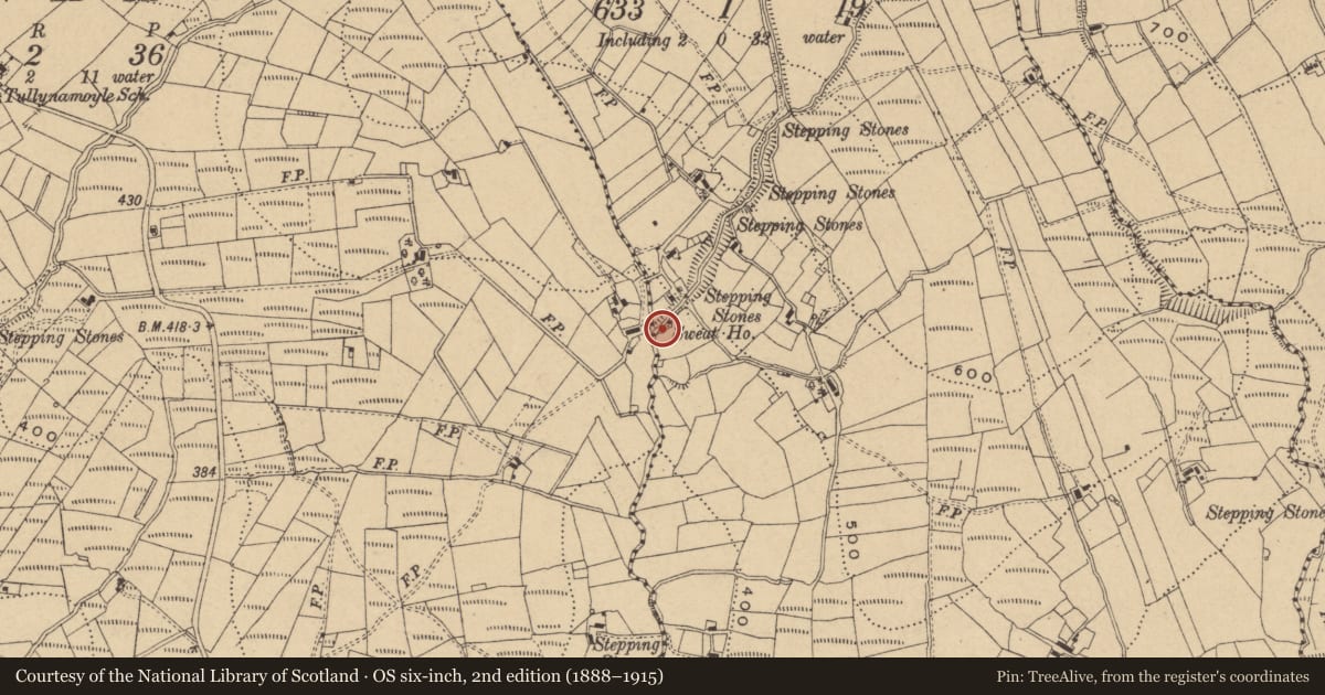 Ordnance Survey six-inch map, 2nd edition (1888–1915) covering the location of Sweathouse, Moneen, County Cavan, with a pin at the register's coordinates