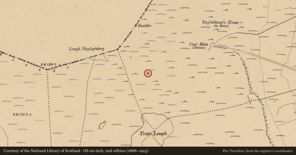 Ordnance Survey six-inch map, 2nd edition (1888–1915) covering the location of Cairn - unclassified, Monesk, County Cavan, with a pin at the register's coordinates