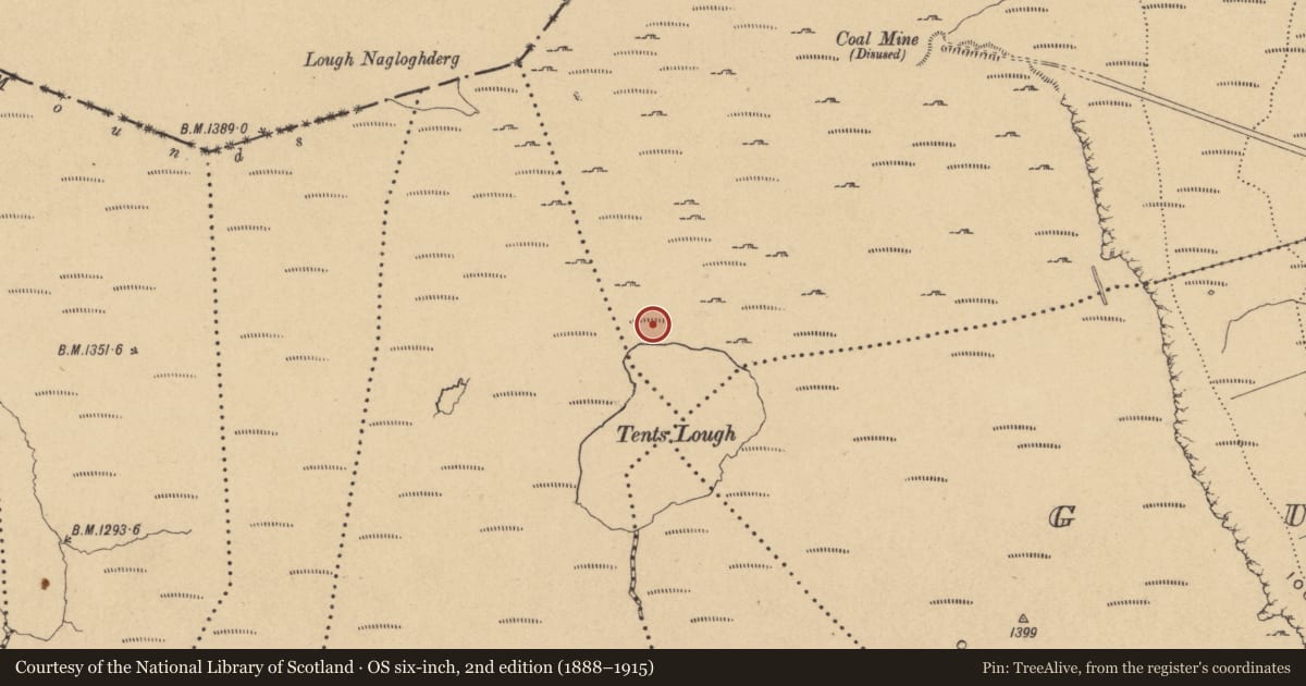 Ordnance Survey six-inch map, 2nd edition (1888–1915) covering the location of Mine, Monesk, County Cavan, with a pin at the register's coordinates
