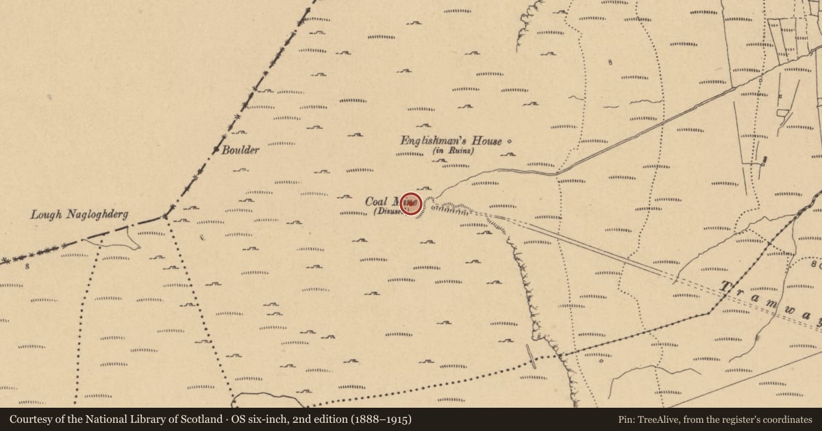 Ordnance Survey six-inch map, 2nd edition (1888–1915) covering the location of Mine, Monesk, County Cavan, with a pin at the register's coordinates