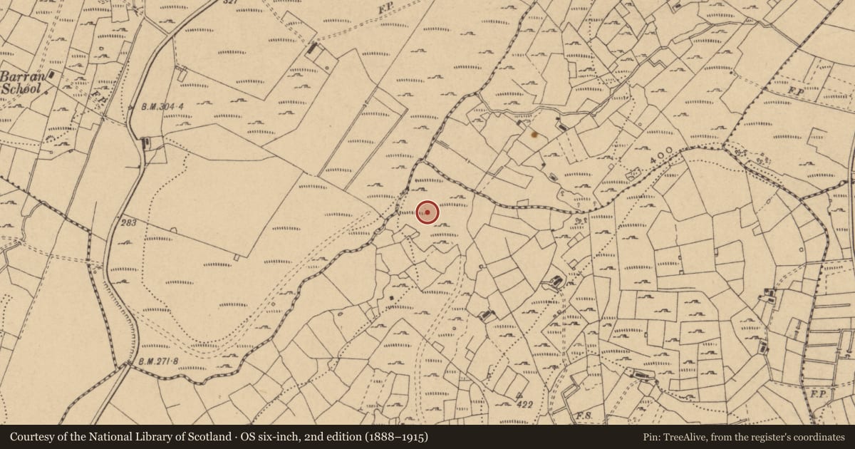 Ordnance Survey six-inch map, 2nd edition (1888–1915) covering the location of Cairn - unclassified, Stranamart, County Cavan, with a pin at the register's coordinates