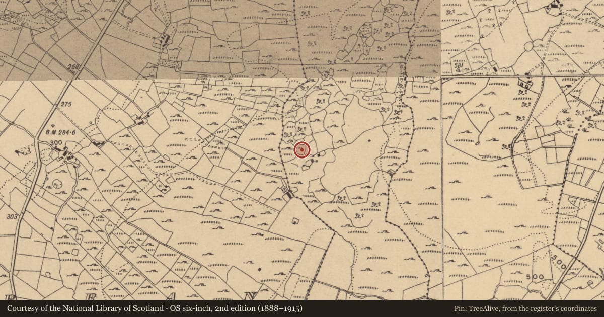 Ordnance Survey six-inch map, 2nd edition (1888–1915) covering the location of Ringfort - cashel, Oggal, County Cavan, with a pin at the register's coordinates