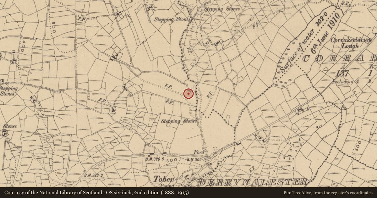 Ordnance Survey six-inch map, 2nd edition (1888–1915) covering the location of Ringfort - rath, Moneen, County Cavan, with a pin at the register's coordinates