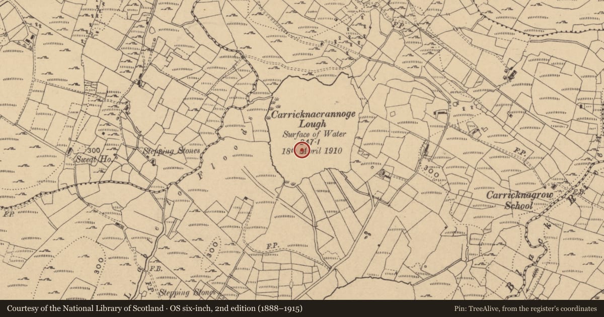 Ordnance Survey six-inch map, 2nd edition (1888–1915) covering the location of Crannog, Carricknagrow, County Cavan, with a pin at the register's coordinates