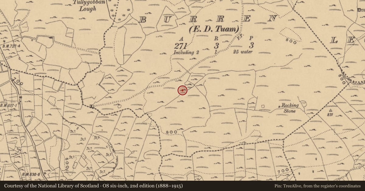 Ordnance Survey six-inch map, 2nd edition (1888–1915) covering the location of Enclosure, Burren, County Cavan, with a pin at the register's coordinates