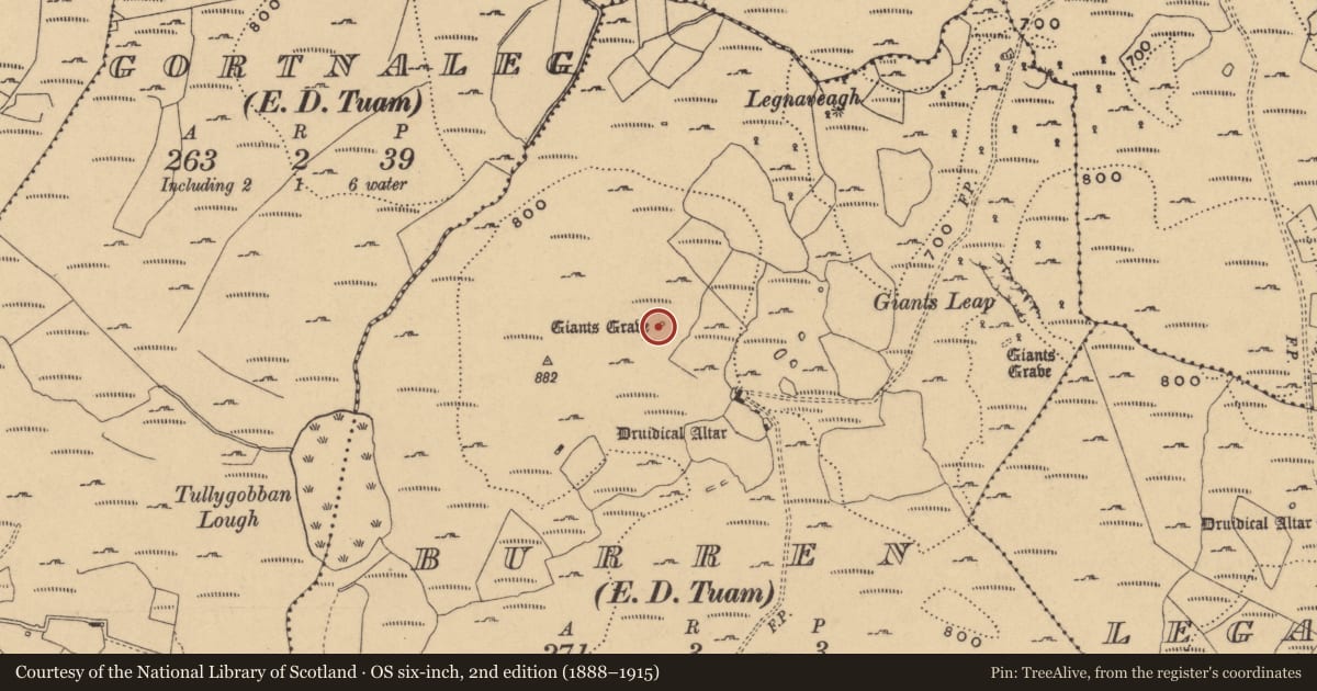 Ordnance Survey six-inch map, 2nd edition (1888–1915) covering the location of Megalithic tomb - wedge tomb, Burren, County Cavan, with a pin at the register's coordinates
