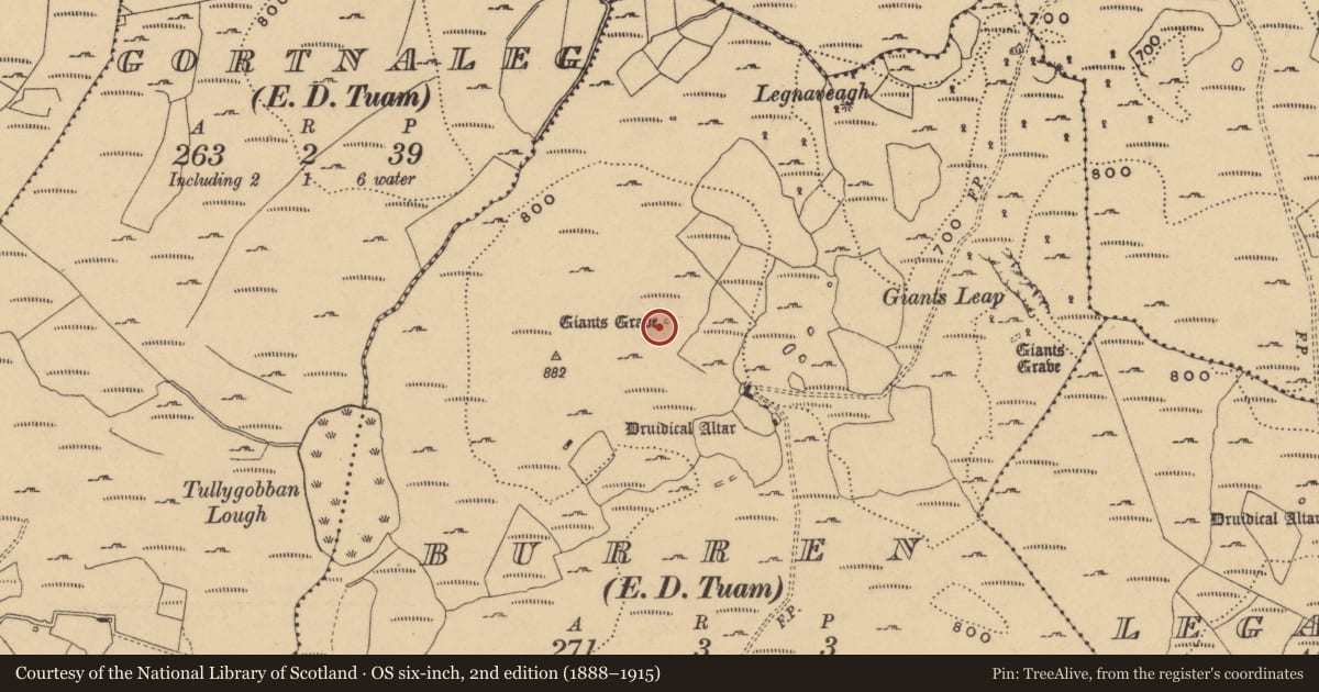 Ordnance Survey six-inch map, 2nd edition (1888–1915) covering the location of Cairn - unclassified, Burren, County Cavan, with a pin at the register's coordinates