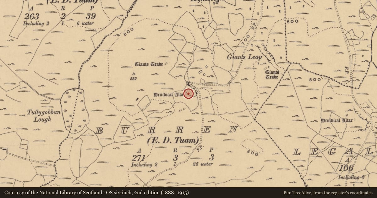 Ordnance Survey six-inch map, 2nd edition (1888–1915) covering the location of Megalithic tomb - portal tomb, Burren, County Cavan, with a pin at the register's coordinates