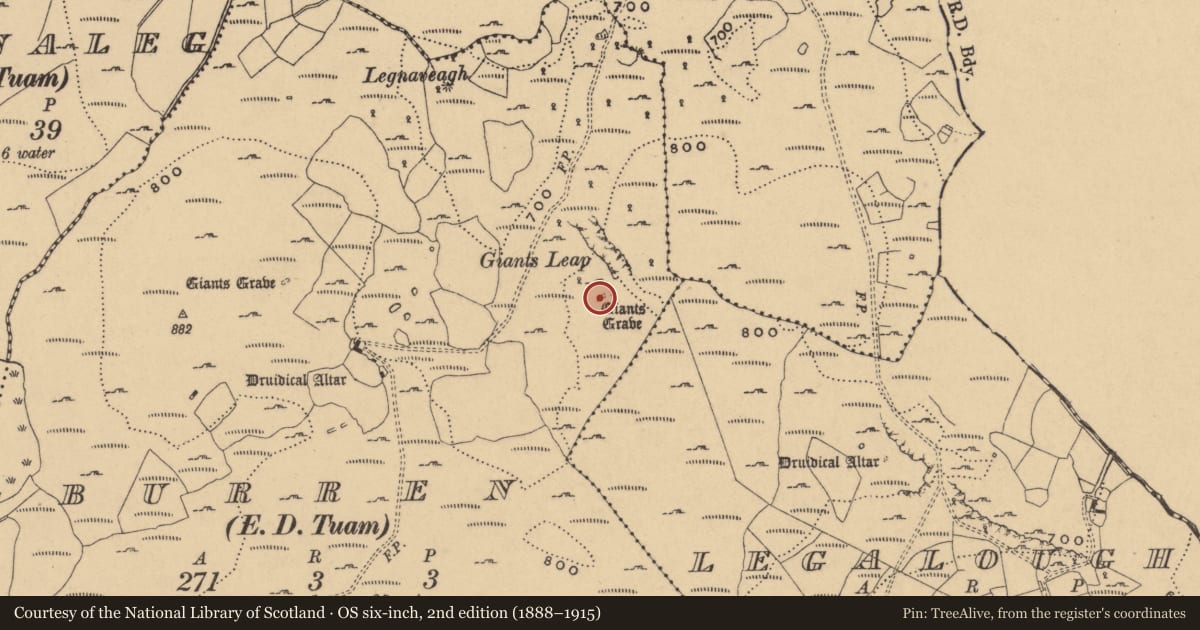 Ordnance Survey six-inch map, 2nd edition (1888–1915) covering the location of Rock art, Burren, County Cavan, with a pin at the register's coordinates