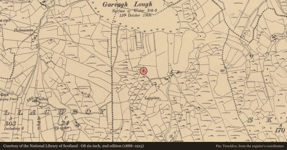 Ordnance Survey six-inch map, 2nd edition (1888–1915) covering the location of Megalithic tomb - court tomb, Garvagh, County Cavan, with a pin at the register's coordinates