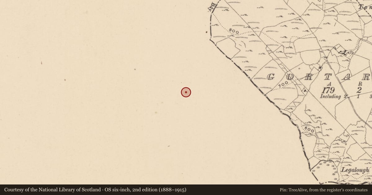 Ordnance Survey six-inch map, 2nd edition (1888–1915) covering the location of Megalithic tomb - court tomb, Legalough, County Cavan, with a pin at the register's coordinates