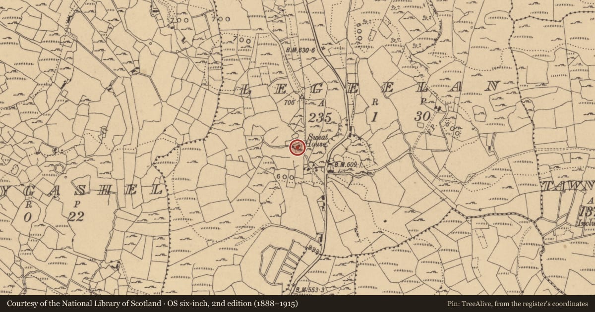 Ordnance Survey six-inch map, 2nd edition (1888–1915) covering the location of Sweathouse, Legeelan, County Cavan, with a pin at the register's coordinates