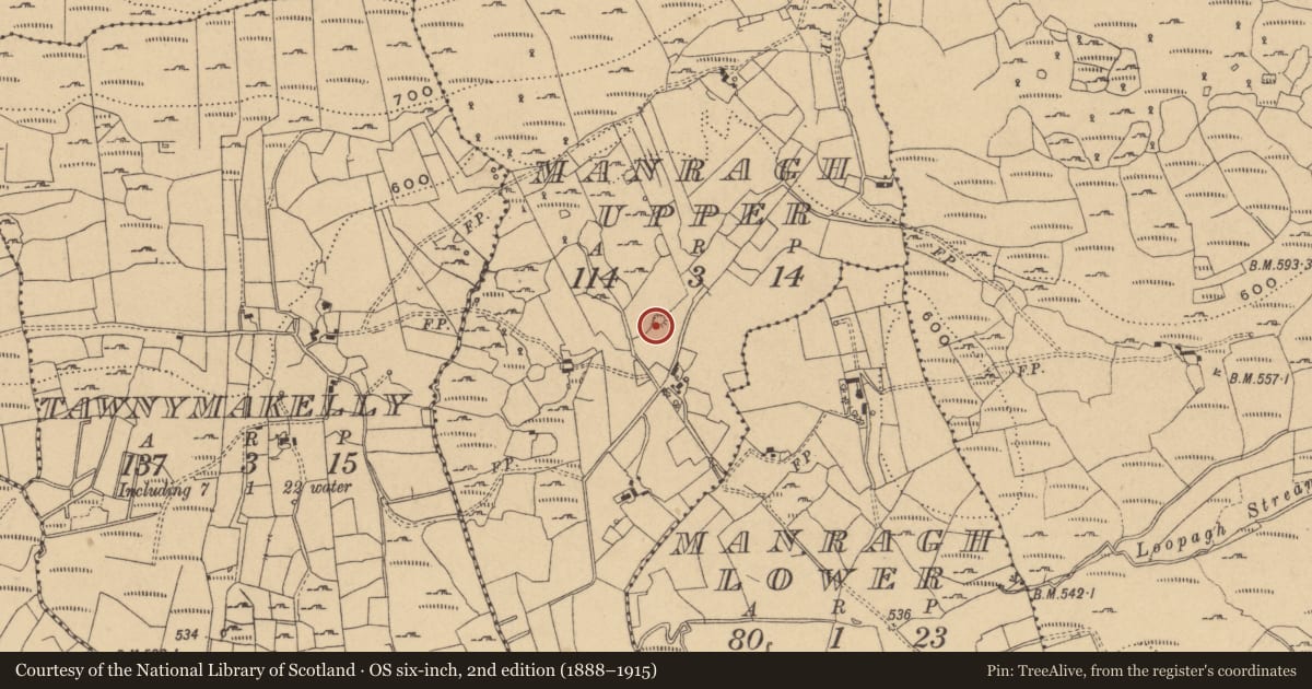 Ordnance Survey six-inch map, 2nd edition (1888–1915) covering the location of Barrow - unclassified, Manragh Upper, County Cavan, with a pin at the register's coordinates