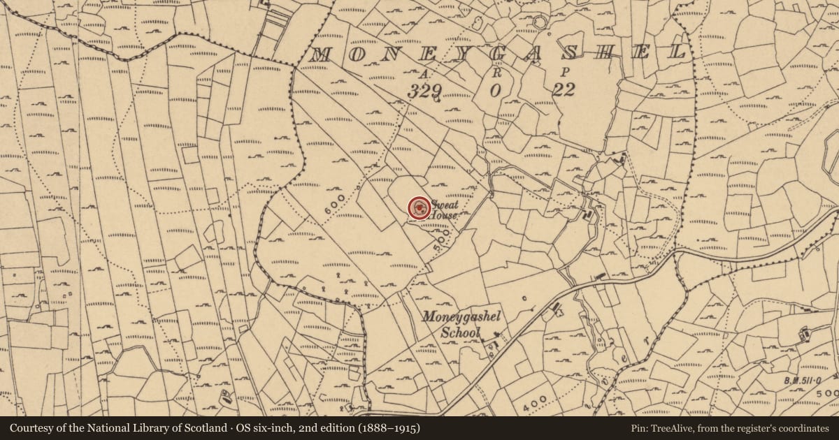 Ordnance Survey six-inch map, 2nd edition (1888–1915) covering the location of Ringfort - cashel, Moneygashel, County Cavan, with a pin at the register's coordinates