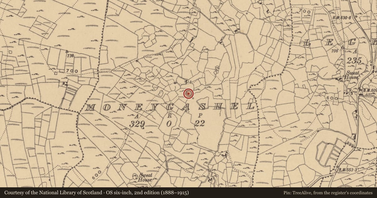 Ordnance Survey six-inch map, 2nd edition (1888–1915) covering the location of Souterrain, Moneygashel, County Cavan, with a pin at the register's coordinates