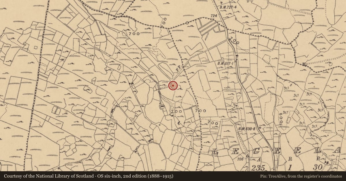Ordnance Survey six-inch map, 2nd edition (1888–1915) covering the location of Ringfort - cashel, Moneygashel, County Cavan, with a pin at the register's coordinates