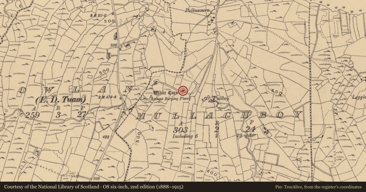 Ordnance Survey six-inch map, 2nd edition (1888–1915) covering the location of Megalithic tomb - court tomb, Mullaghboy, County Cavan, with a pin at the register's coordinates