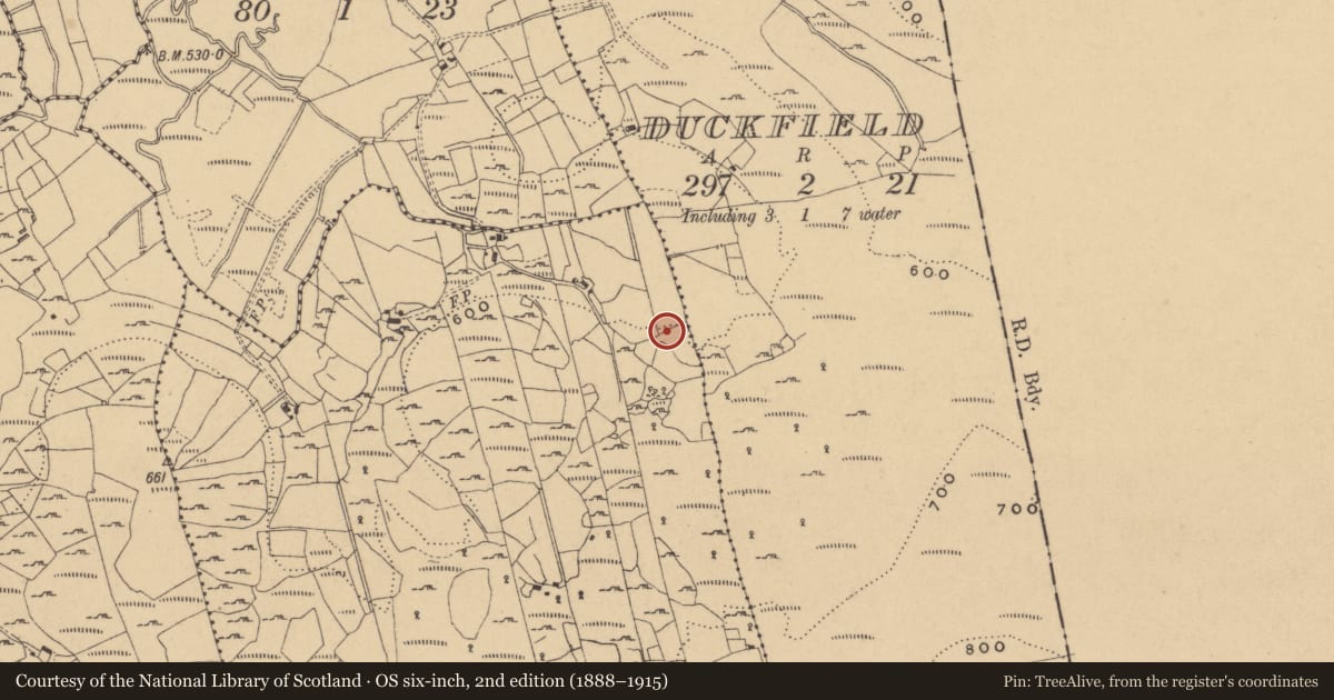 Ordnance Survey six-inch map, 2nd edition (1888–1915) covering the location of Megalithic tomb - wedge tomb, Skeagh, County Cavan, with a pin at the register's coordinates