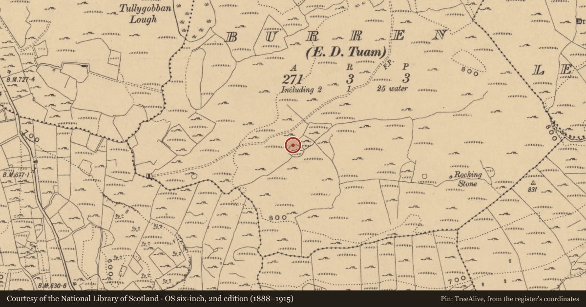 Ordnance Survey six-inch map, 2nd edition (1888–1915) covering the location of Hut site, Burren, County Cavan, with a pin at the register's coordinates