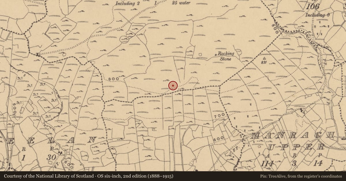 Ordnance Survey six-inch map, 2nd edition (1888–1915) covering the location of Hut site, Burren, County Cavan, with a pin at the register's coordinates