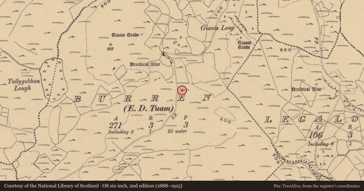 Ordnance Survey six-inch map, 2nd edition (1888–1915) covering the location of Megalithic tomb - unclassified, Burren, County Cavan, with a pin at the register's coordinates