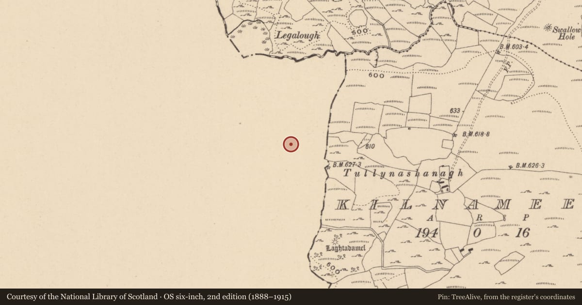 Ordnance Survey six-inch map, 2nd edition (1888–1915) covering the location of Megalithic tomb - wedge tomb, Duckfield, County Cavan, with a pin at the register's coordinates