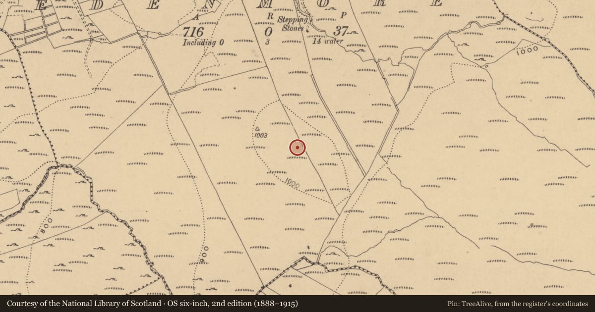 Ordnance Survey six-inch map, 2nd edition (1888–1915) covering the location of Stone row, Edenmore, County Cavan, with a pin at the register's coordinates