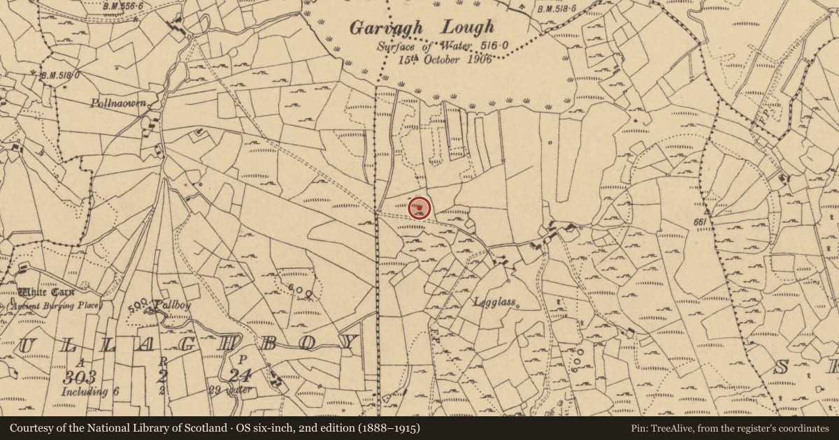 Ordnance Survey six-inch map, 2nd edition (1888–1915) covering the location of Standing stone, Garvagh, County Cavan, with a pin at the register's coordinates