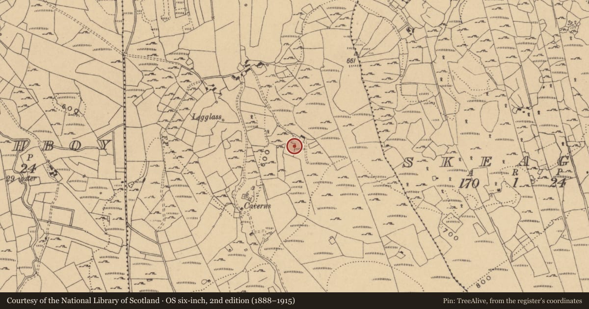Ordnance Survey six-inch map, 2nd edition (1888–1915) covering the location of Standing stone, Garvagh, County Cavan, with a pin at the register's coordinates