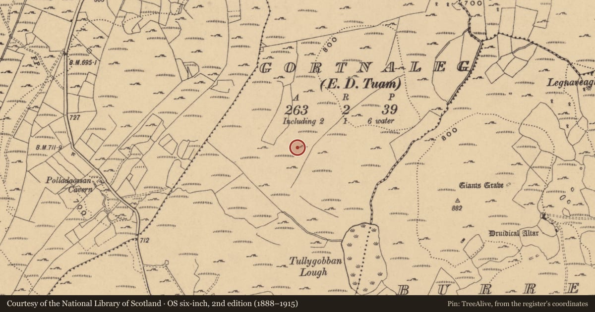Ordnance Survey six-inch map, 2nd edition (1888–1915) covering the location of Standing stone, Gortnaleg, County Cavan, with a pin at the register's coordinates