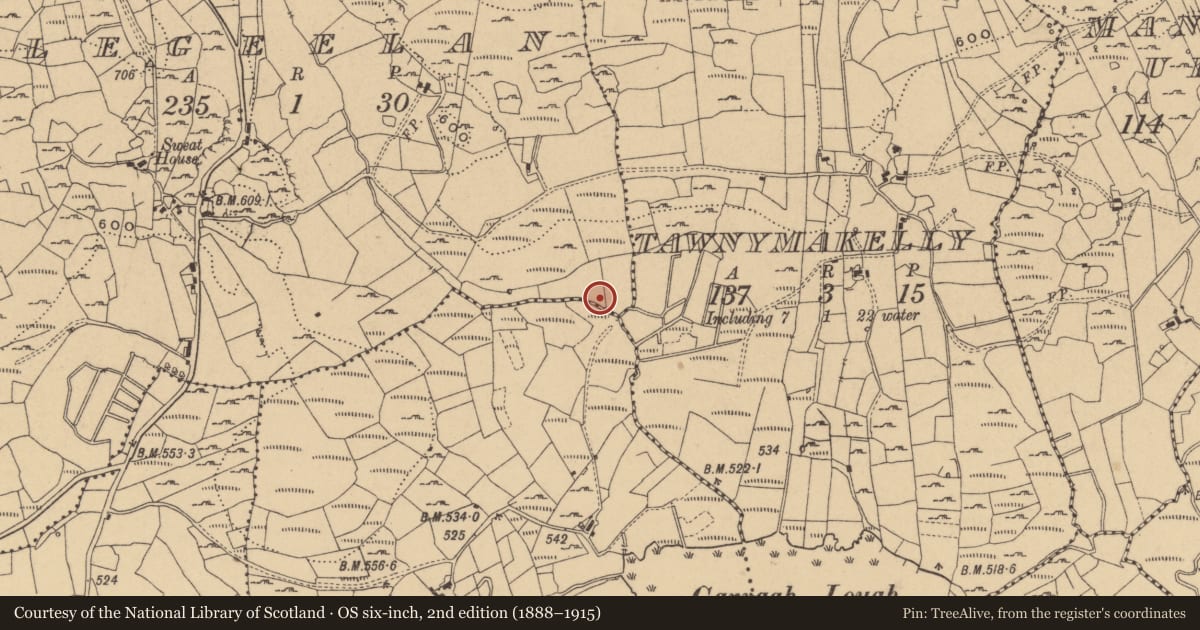 Ordnance Survey six-inch map, 2nd edition (1888–1915) covering the location of Mound, Legeelan, County Cavan, with a pin at the register's coordinates