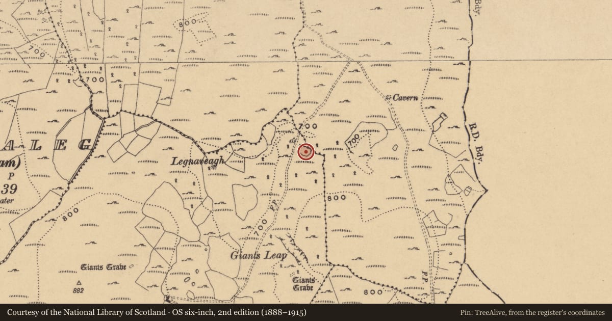 Ordnance Survey six-inch map, 2nd edition (1888–1915) covering the location of Promontory fort - inland, Burren, County Cavan, with a pin at the register's coordinates