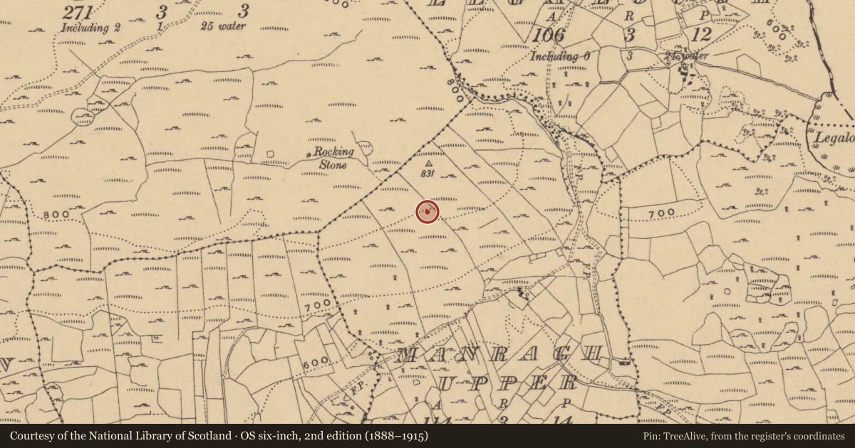 Ordnance Survey six-inch map, 2nd edition (1888–1915) covering the location of Hut site, Manragh Upper, County Cavan, with a pin at the register's coordinates
