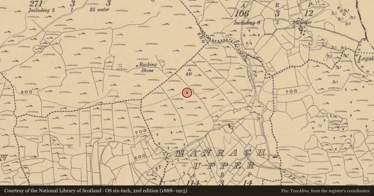 Ordnance Survey six-inch map, 2nd edition (1888–1915) covering the location of Hut site, Manragh Upper, County Cavan, with a pin at the register's coordinates