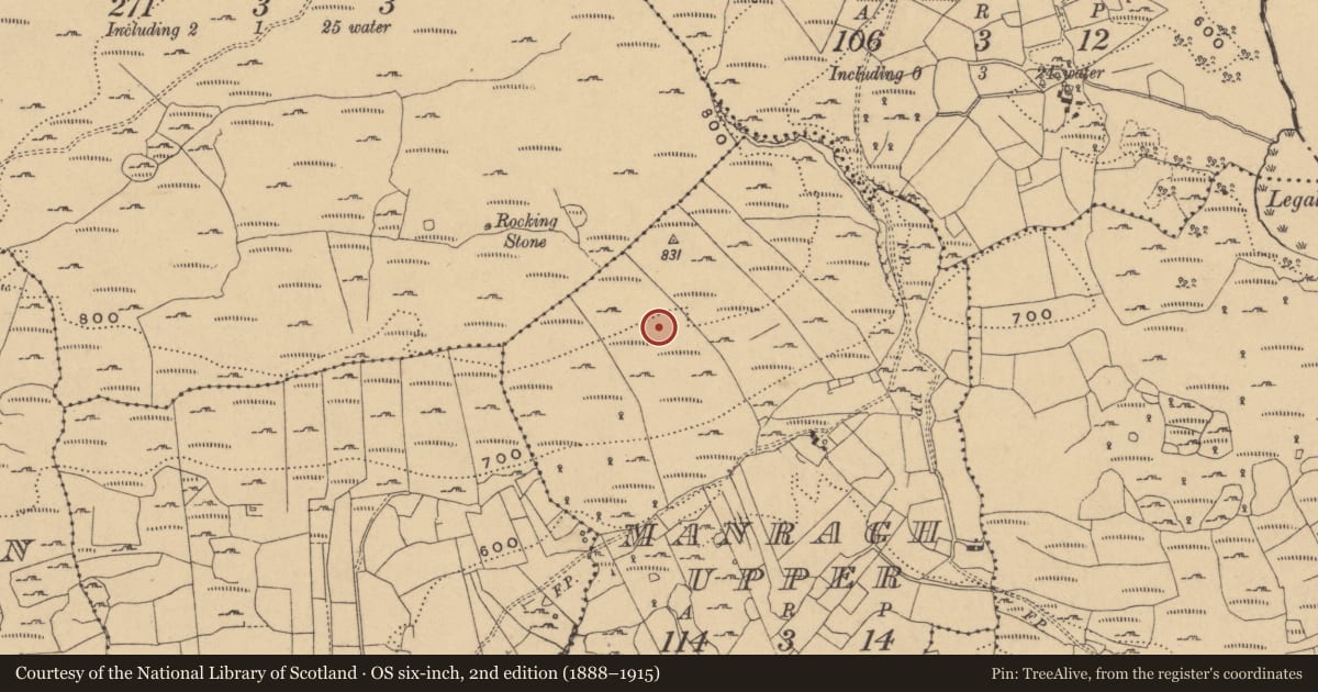 Ordnance Survey six-inch map, 2nd edition (1888–1915) covering the location of Hut site, Manragh Upper, County Cavan, with a pin at the register's coordinates