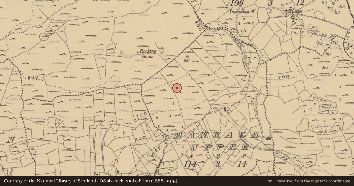 Ordnance Survey six-inch map, 2nd edition (1888–1915) covering the location of Hut site, Manragh Upper, County Cavan, with a pin at the register's coordinates