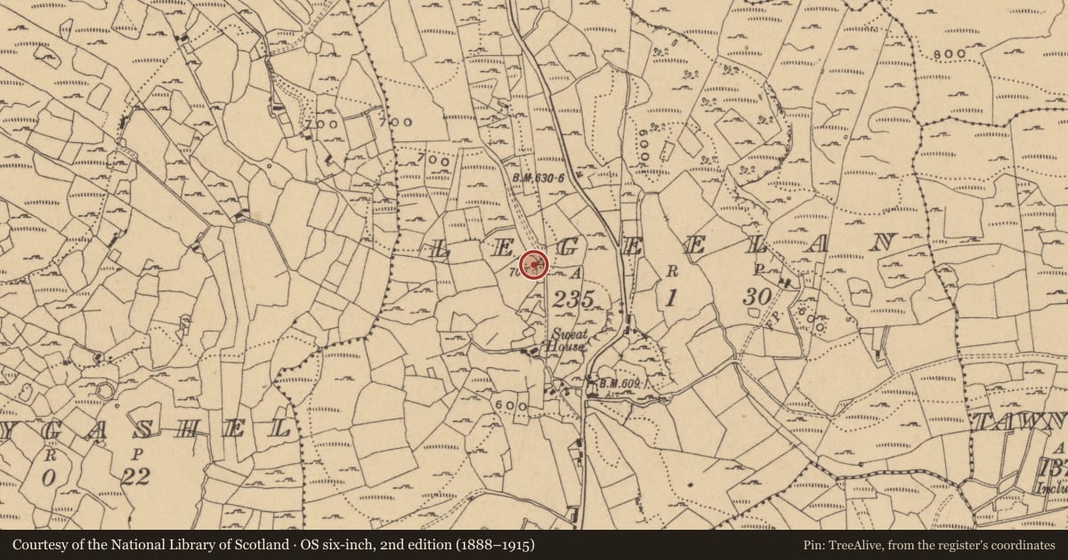Ordnance Survey six-inch map, 2nd edition (1888–1915) covering the location of Enclosure, Legeelan, County Cavan, with a pin at the register's coordinates