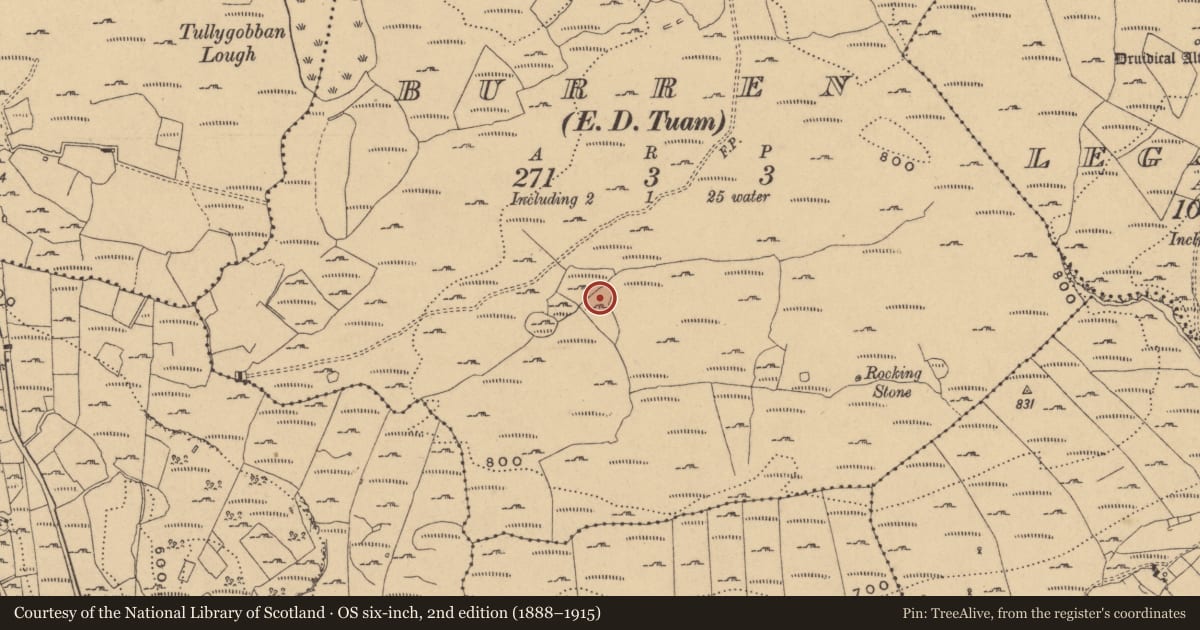 Ordnance Survey six-inch map, 2nd edition (1888–1915) covering the location of Field system, County Cavan, with a pin at the register's coordinates