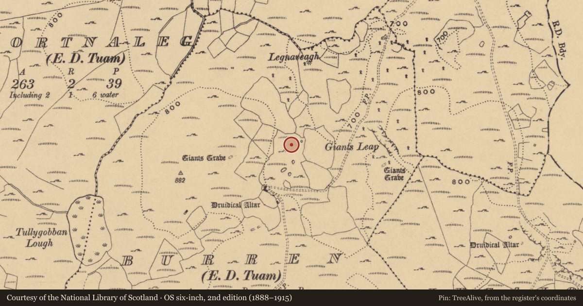 Ordnance Survey six-inch map, 2nd edition (1888–1915) covering the location of Rock art, Burren, County Cavan, with a pin at the register's coordinates