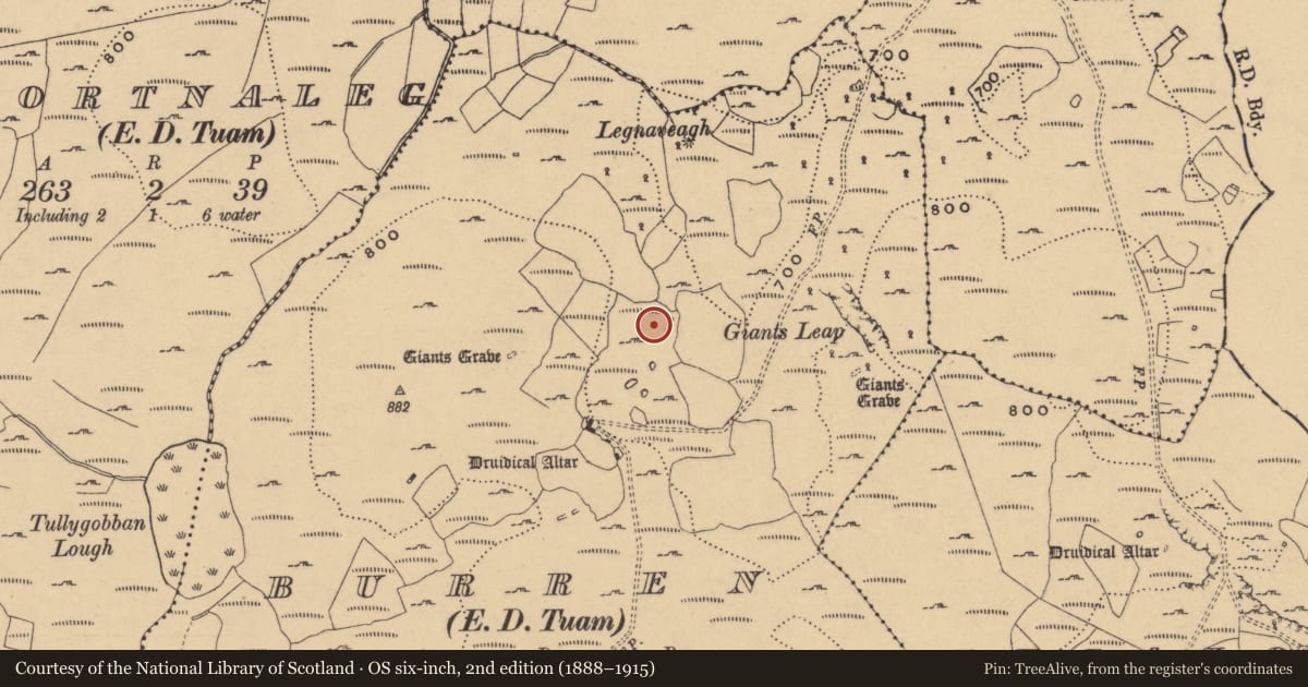 Ordnance Survey six-inch map, 2nd edition (1888–1915) covering the location of Rock art, Burren, County Cavan, with a pin at the register's coordinates