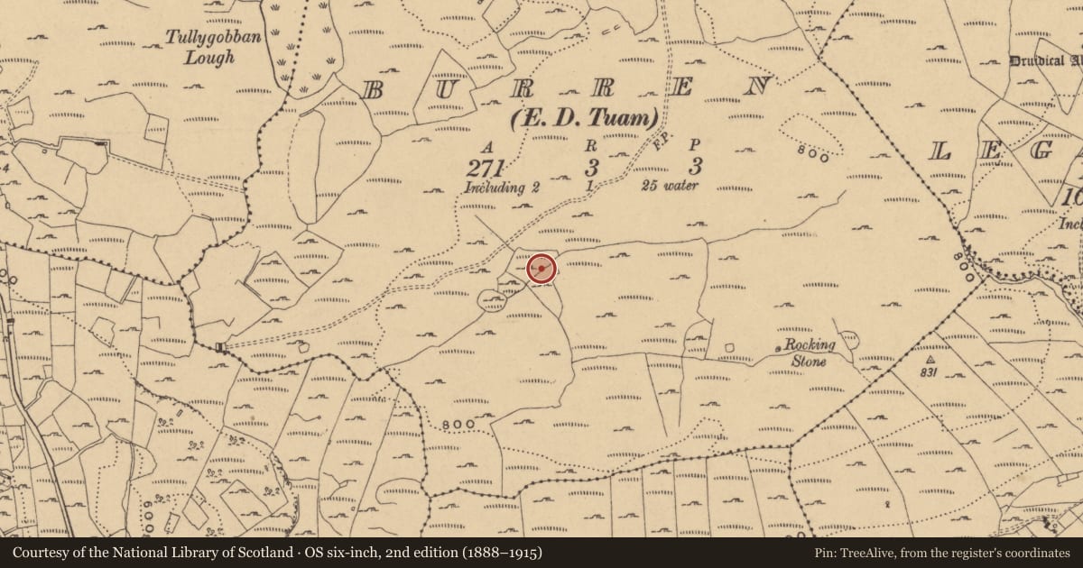Ordnance Survey six-inch map, 2nd edition (1888–1915) covering the location of Rock art, Burren, County Cavan, with a pin at the register's coordinates