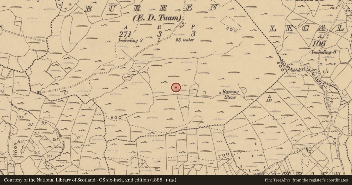 Ordnance Survey six-inch map, 2nd edition (1888–1915) covering the location of Rock art, Burren, County Cavan, with a pin at the register's coordinates
