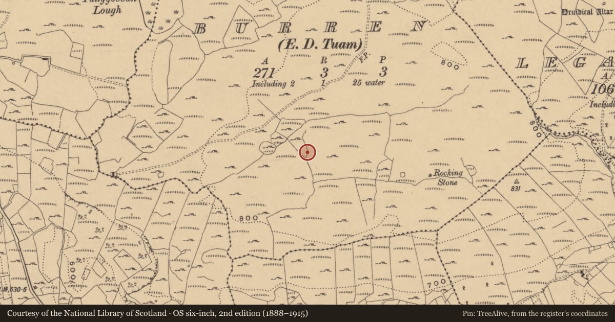Ordnance Survey six-inch map, 2nd edition (1888–1915) covering the location of Rock art, Burren, County Cavan, with a pin at the register's coordinates