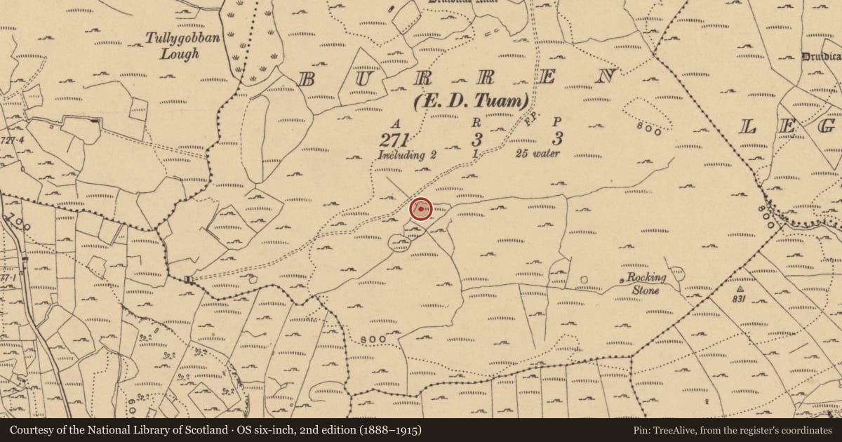 Ordnance Survey six-inch map, 2nd edition (1888–1915) covering the location of Rock art, Burren, County Cavan, with a pin at the register's coordinates
