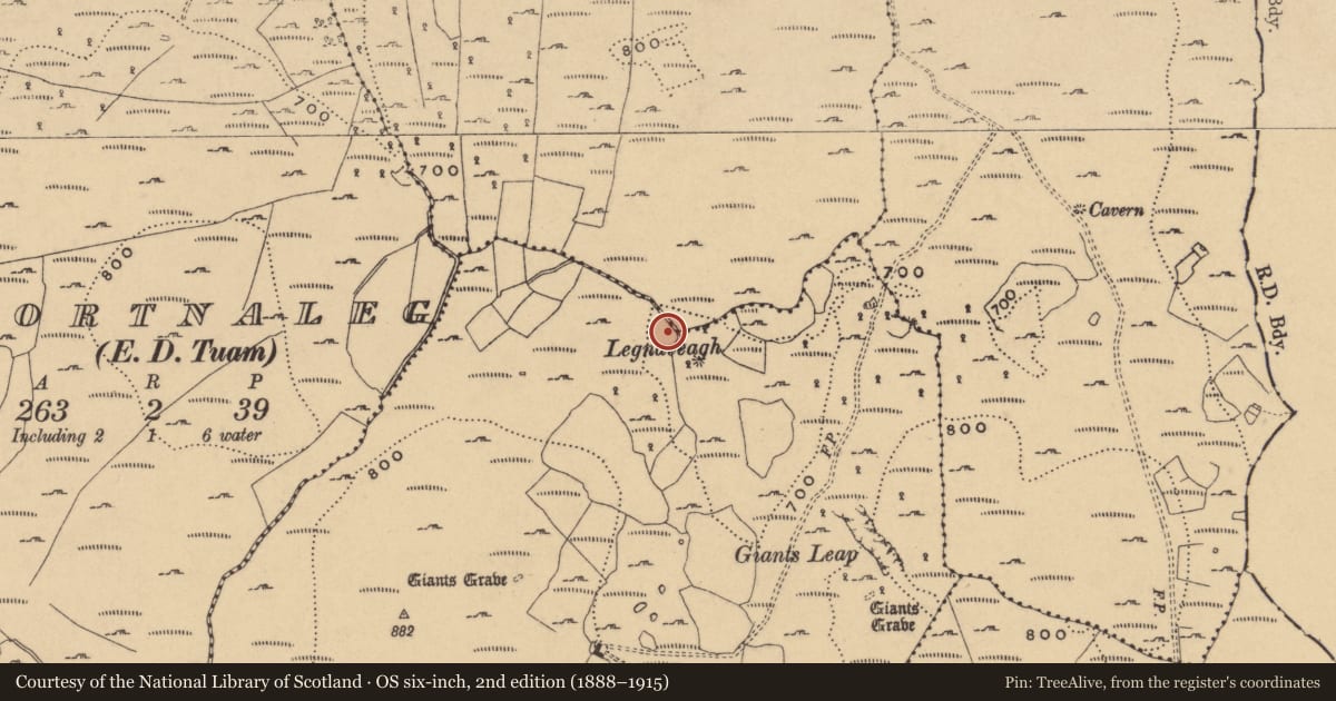 Ordnance Survey six-inch map, 2nd edition (1888–1915) covering the location of Burnt mound, Burren, County Cavan, with a pin at the register's coordinates