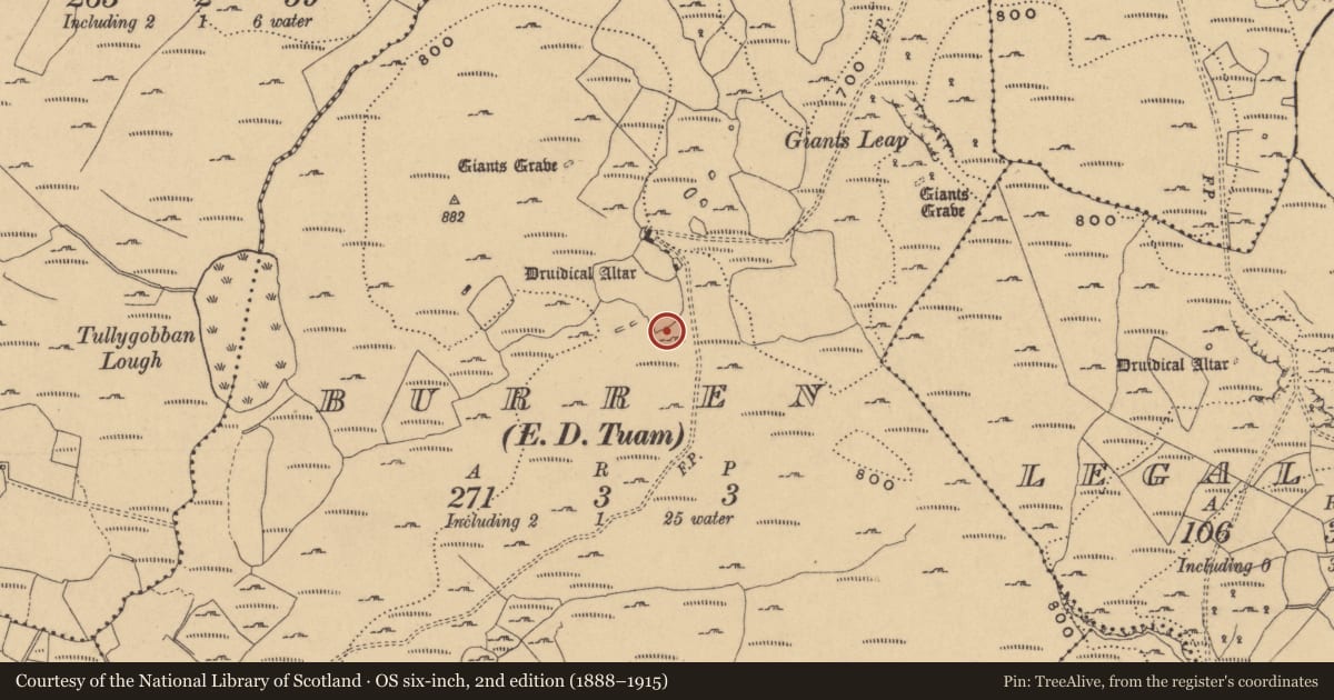Ordnance Survey six-inch map, 2nd edition (1888–1915) covering the location of Hut site, Burren, County Cavan, with a pin at the register's coordinates