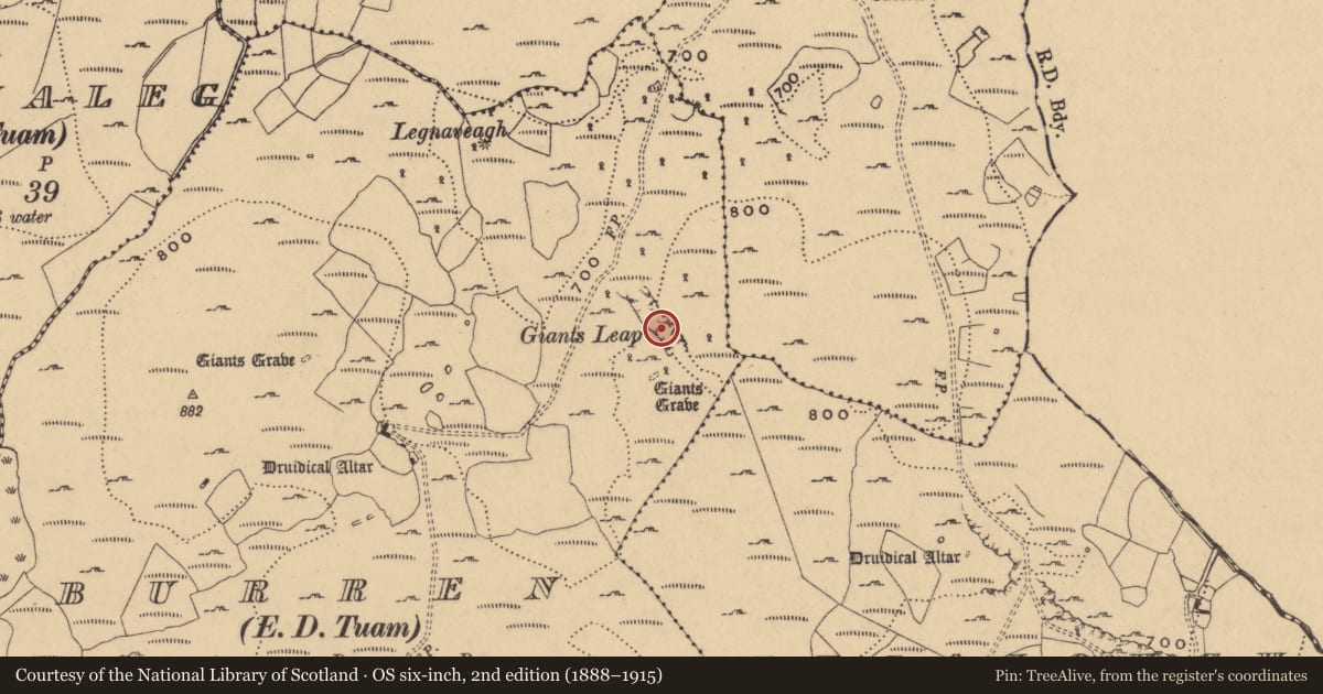 Ordnance Survey six-inch map, 2nd edition (1888–1915) covering the location of Mine, Burren, County Cavan, with a pin at the register's coordinates