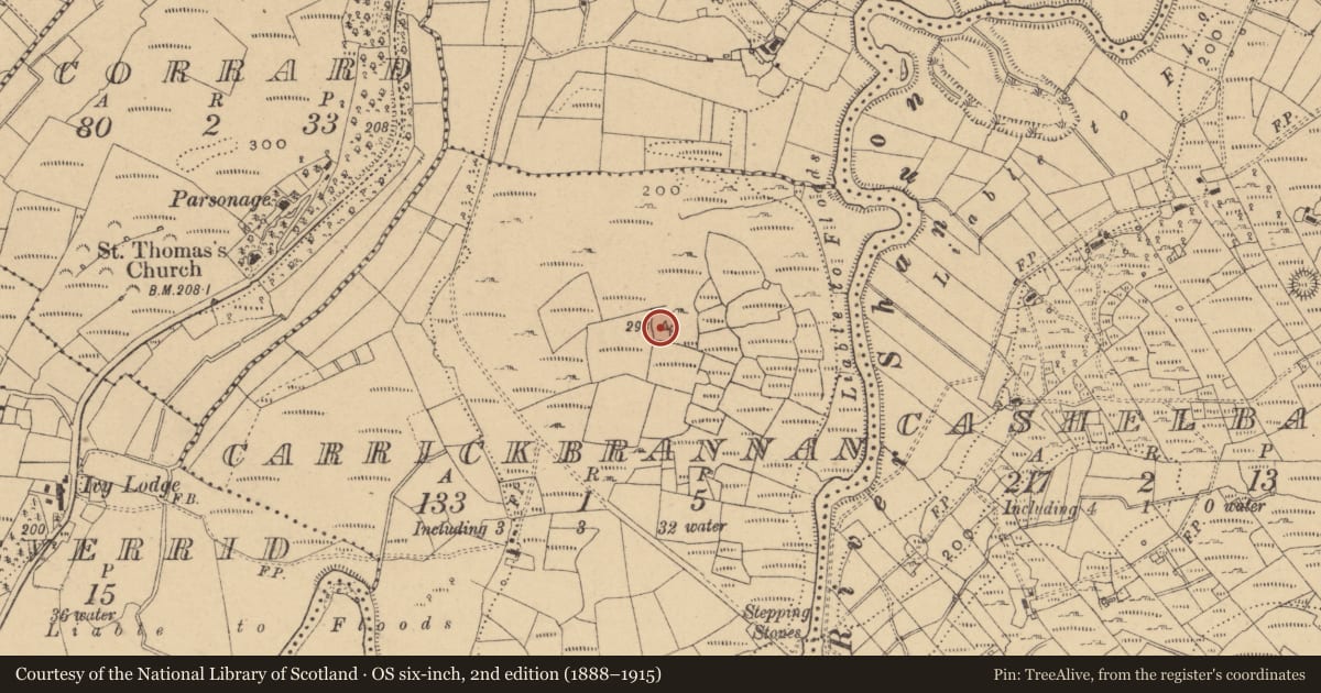 Ordnance Survey six-inch map, 2nd edition (1888–1915) covering the location of Cairn - unclassified, Carrickbrannan, County Cavan, with a pin at the register's coordinates