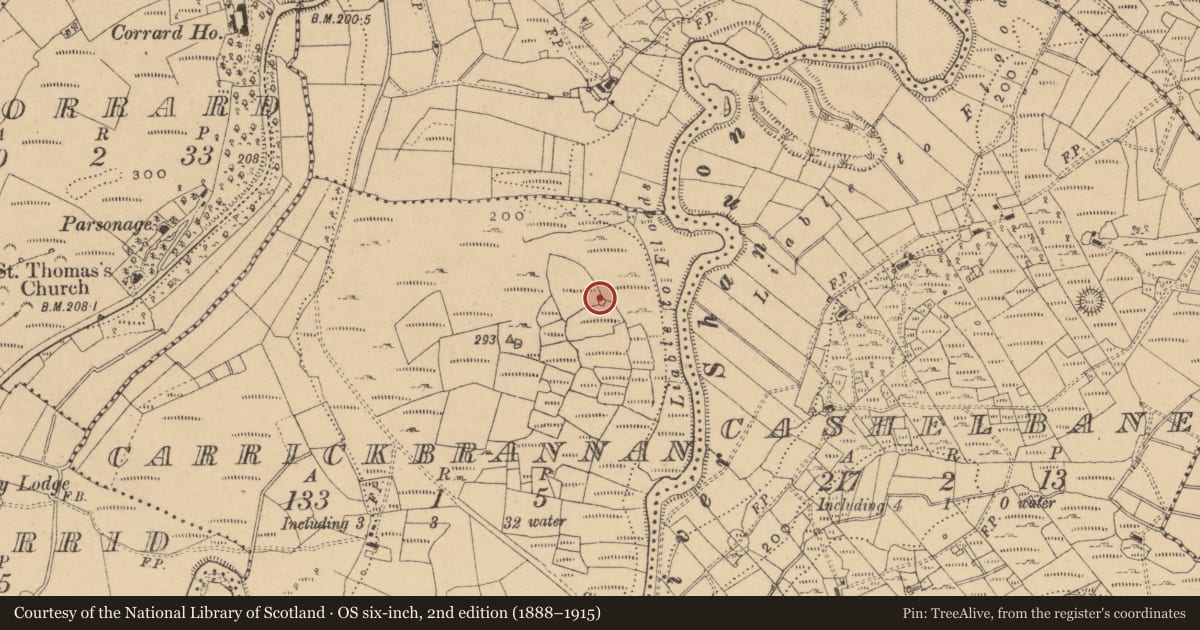 Ordnance Survey six-inch map, 2nd edition (1888–1915) covering the location of Ringfort - cashel, Carrickbrannan, County Cavan, with a pin at the register's coordinates